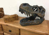 Dinosaur T-Rex Tyrannosaurus Rex Prehistoric Skull Ornament