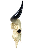 Large Wall Mounted Cow Skull Ornament